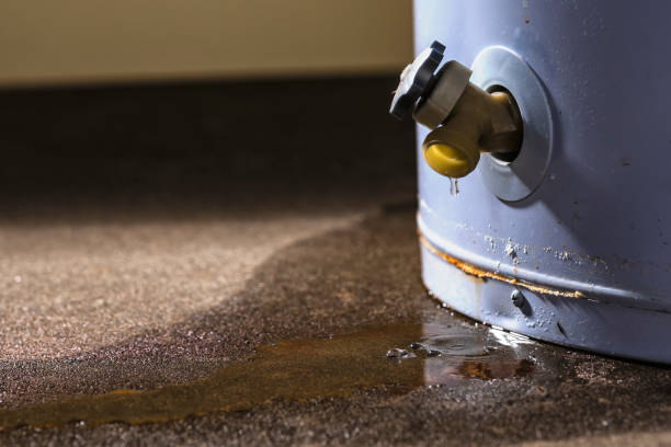 Best Water damage restoration near me  in New Baltimore, VA