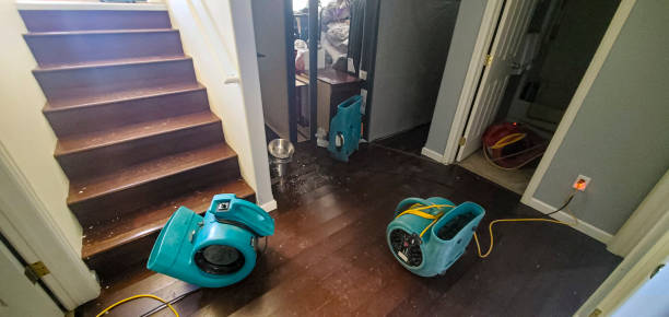Water damage restoration experts in New Baltimore, VA