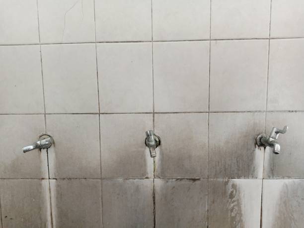 Best Basement water damage restoration  in New Baltimore, VA