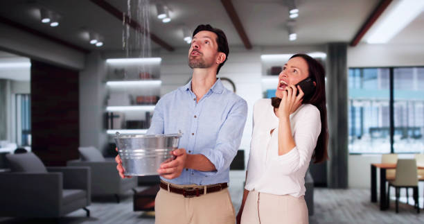 Best Carpet water damage restoration  in New Baltimore, VA